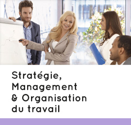 Pôle stratégie management & organisation du travail